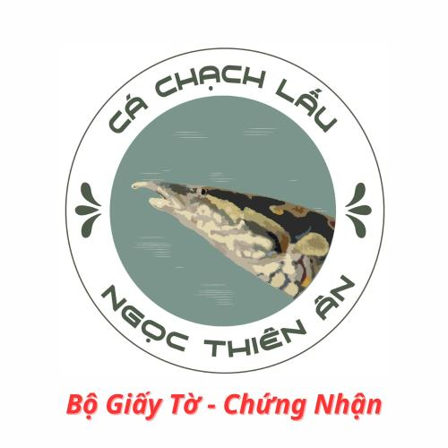 Bộ Giấy Tờ - Chứng Nhận của Cá Chạch Lấu Ngọc Thiên Ân