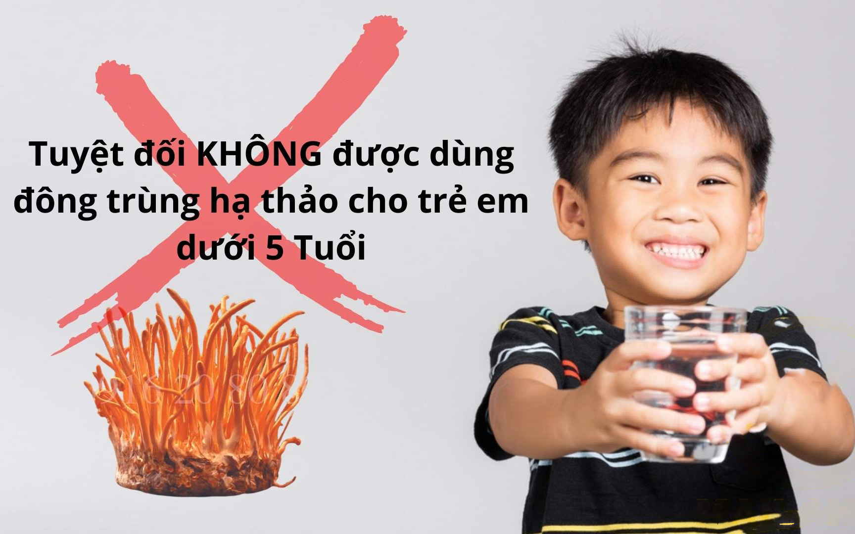 Đối tượng KHÔNG NÊN sử dụng nấm Đông Trùng Hạ Thảo