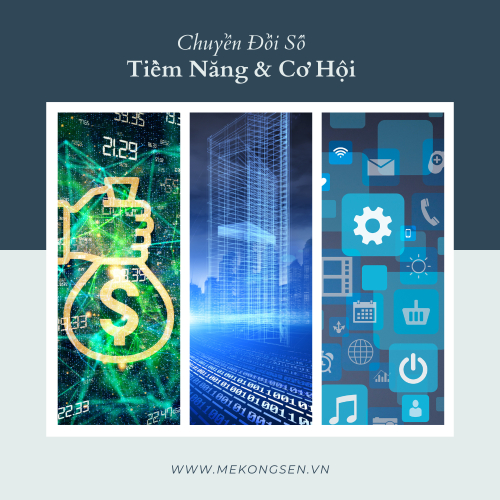 Cao Lãnh – Vùng Đất Tiềm Năng Cho Khởi Nghiệp Và Phát Triển Doanh Nghiệp