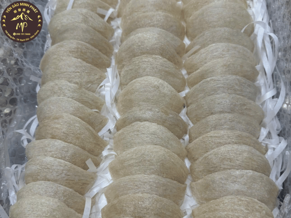 Giới thiệu chi tiết