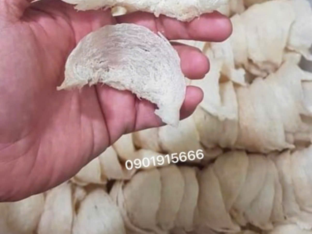 Giới thiệu chi tiết