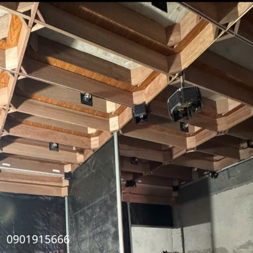 Vì Sao Loa Dẫn Dụ Đóng Vai Trò Quan Trọng Trong Việc Thu Hút Chim Yến?