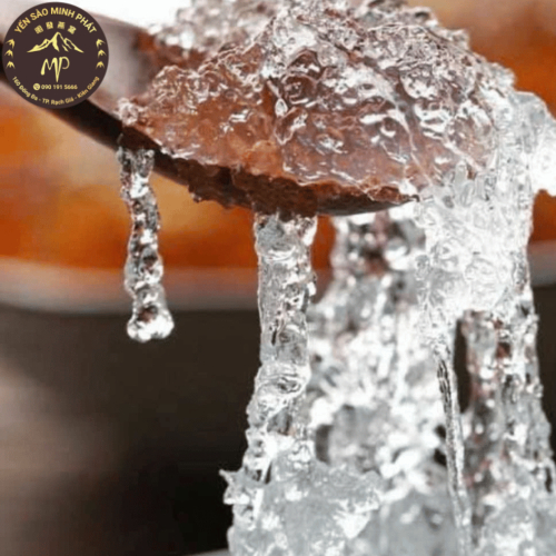 Yến Tươi Và Những Khác Biệt Lớn Với Tổ Yến Thông Thường