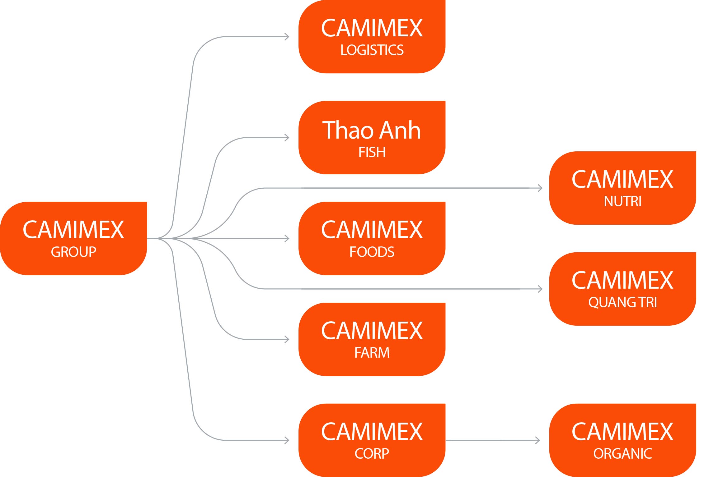 Sơ đồ tổ chức