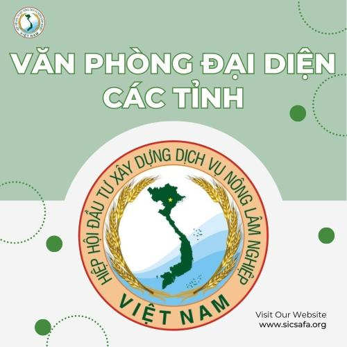 Văn Phòng Đại Diện Các Tỉnh