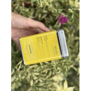 Trà Oolongsen Gừng Hộp 100gr