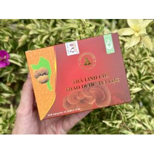 Trà Linh Chi Thảo Dược Túi Lọc