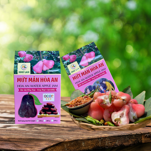 Mận Nào Làm Mứt Ngon Nhất? Bí Quyết Nằm Ở Mận Hòa An – Đặc Sản Cao Lãnh