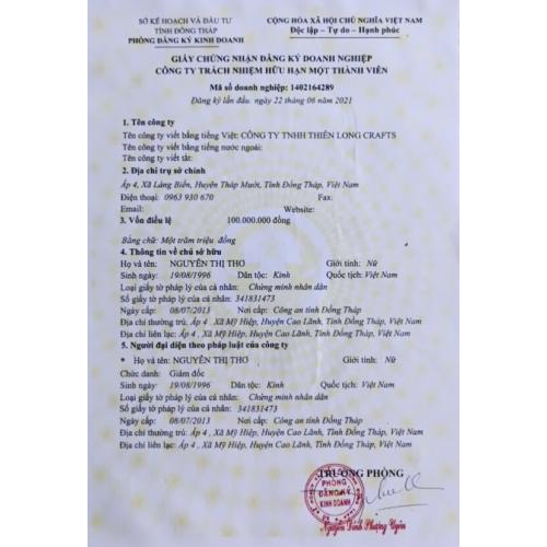 Giấy Chứng Nhận ĐKKD Thiên Long Crafts