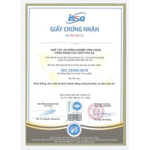 Các loại giấy phép của tinh dầu úp tay