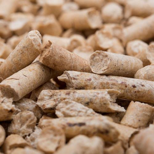 Trấu Viên Có Giúp Doanh Nghiệp Tối Ưu Chi Phí Nhiên Liệu Dài Hạn?