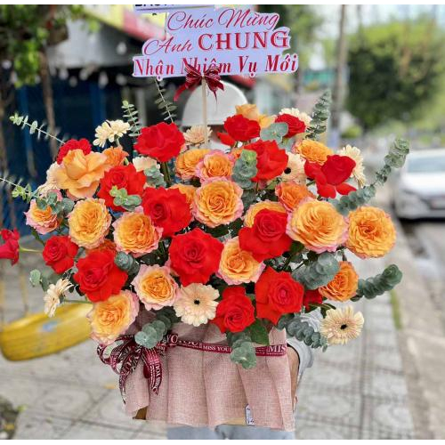 Hoa Chúc Mừng - H01