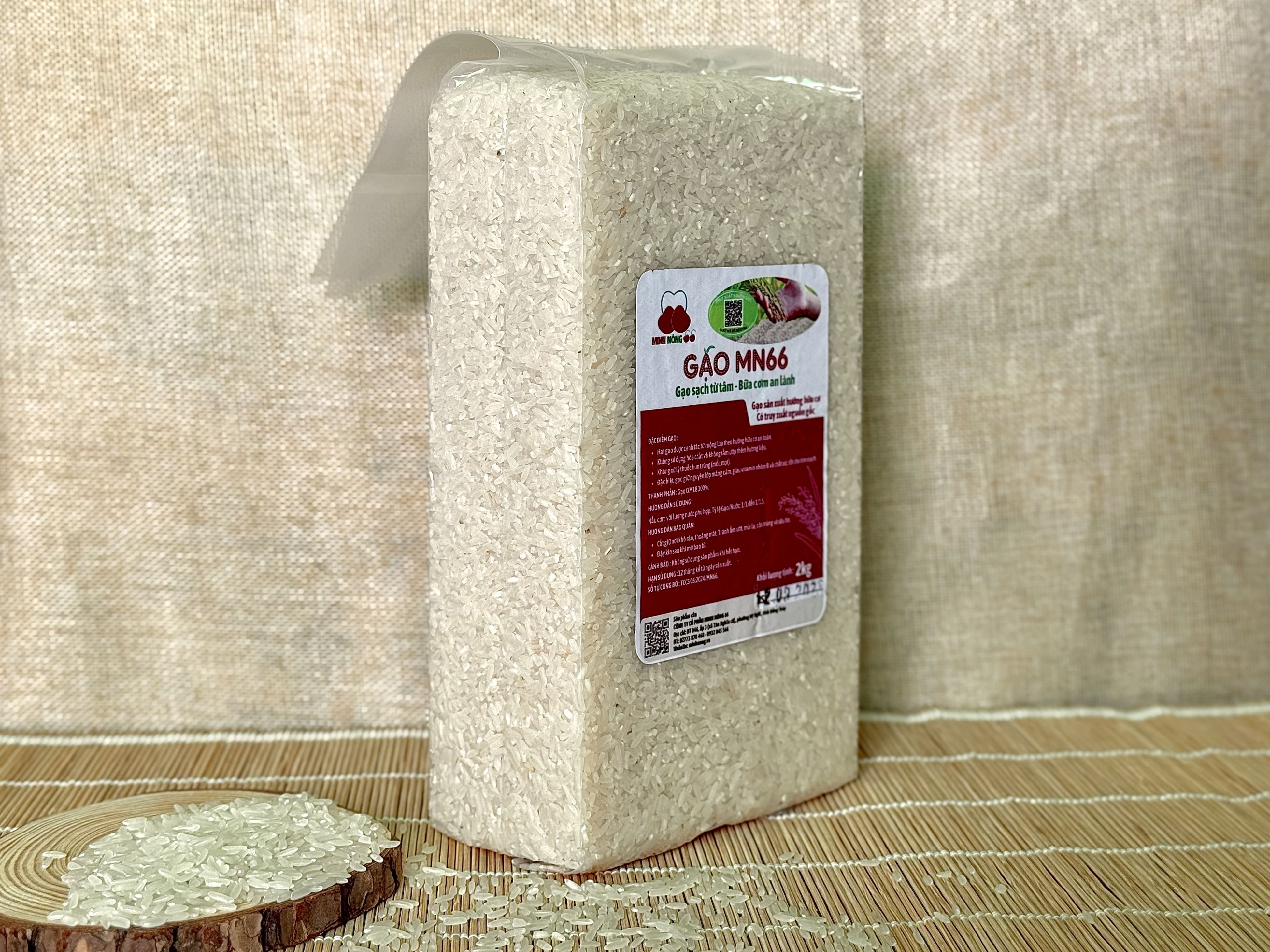 Giới thiệu gạo MN66