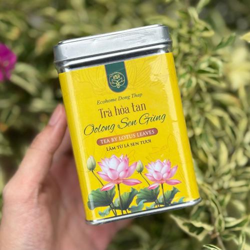 Trà Oolongsen Gừng Hộp 100gr